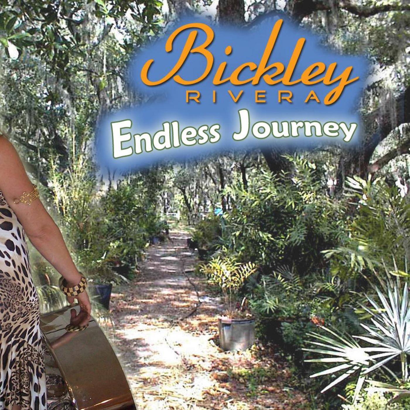 Endless Journey