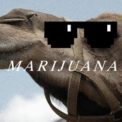 Marijuana(Remake)