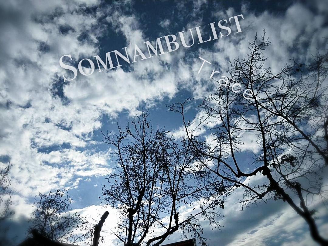 Somnambulist专辑