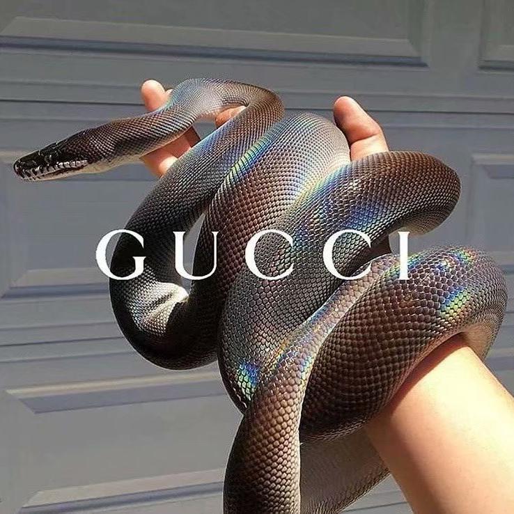 Take My Hand （青海摇）