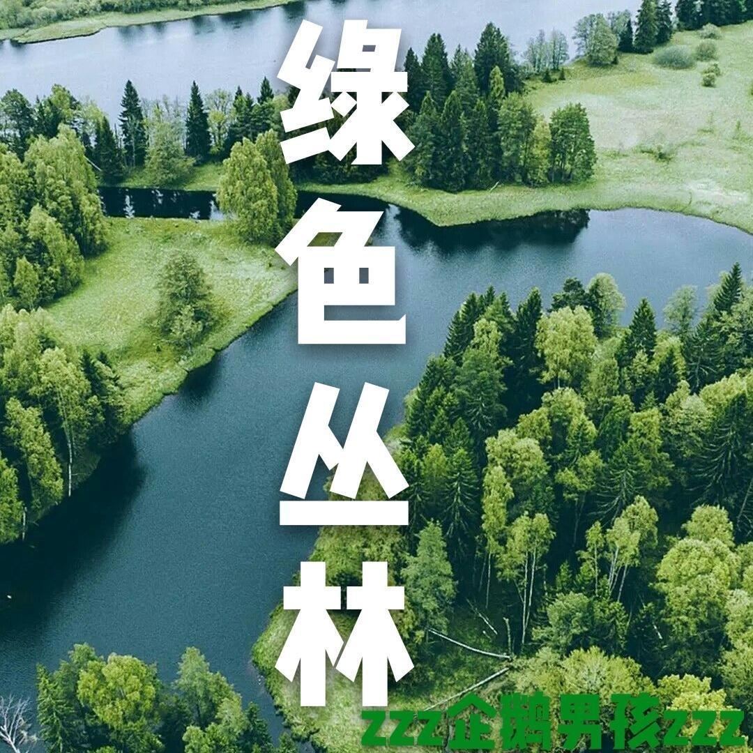 企鹅男孩【大自然结合旋律】