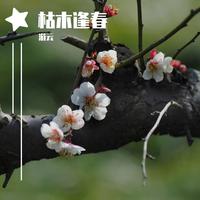 家乡 (原版立体声)