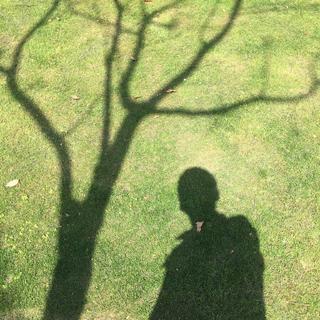 听民谣歌手的单相思