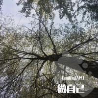 做自己的英雄+一辈子一场梦（最新时尚舞曲资料）制作伴奏