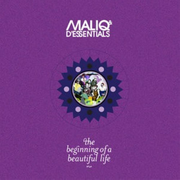 The Beginning of Beautiful life