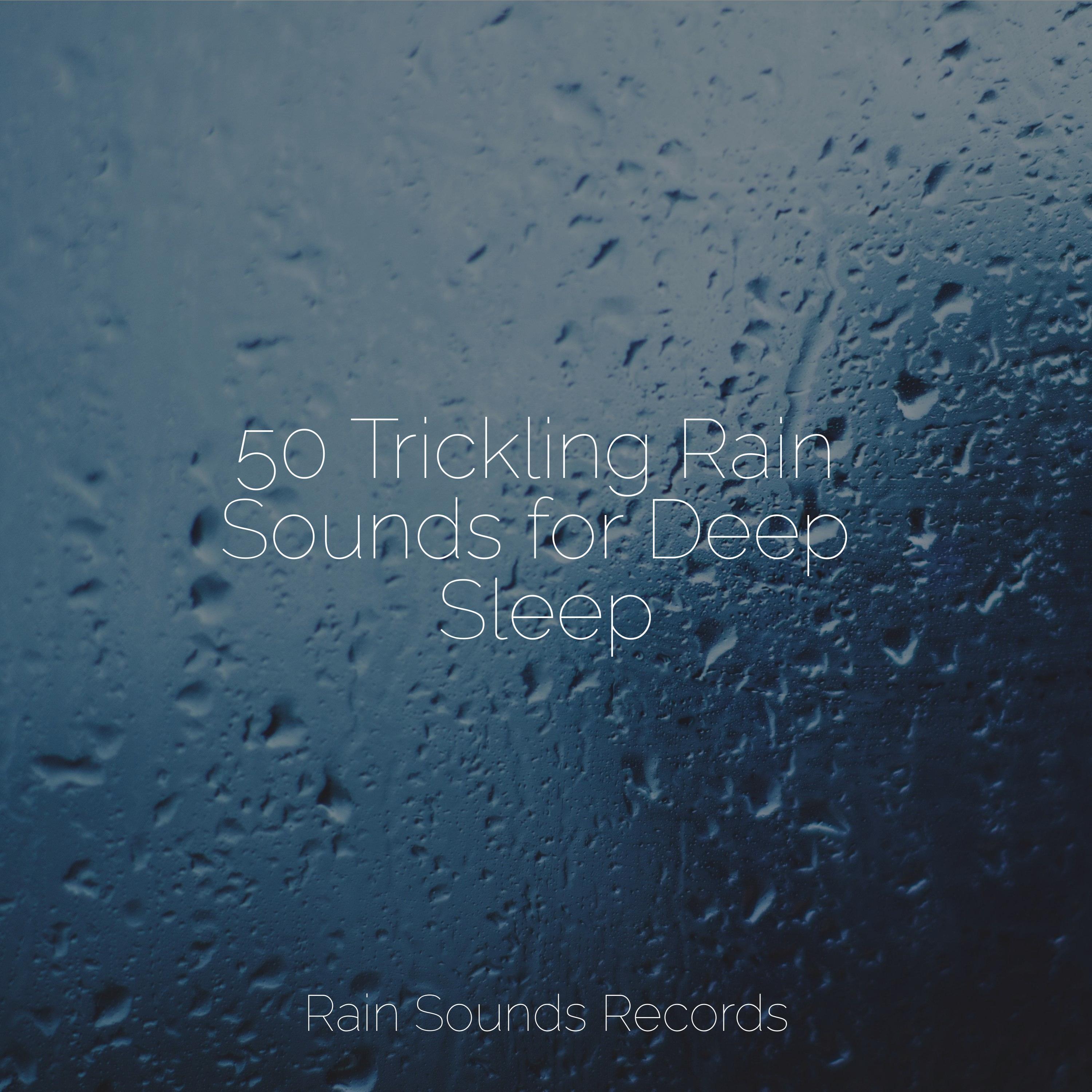 50 Trickling Rain Sounds for Deep Sleep