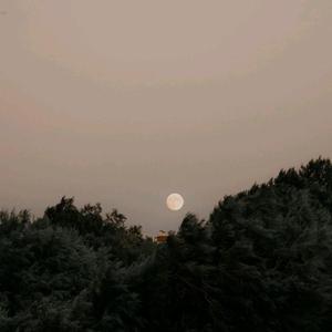 萱萱 - 残酷月光(立体声伴奏) （降1半音）