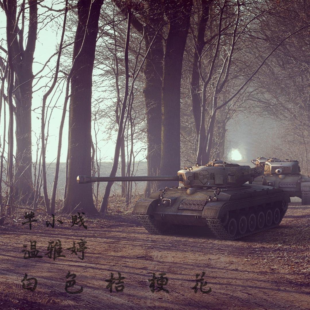 白色桔梗花（翻自 诗人凉）