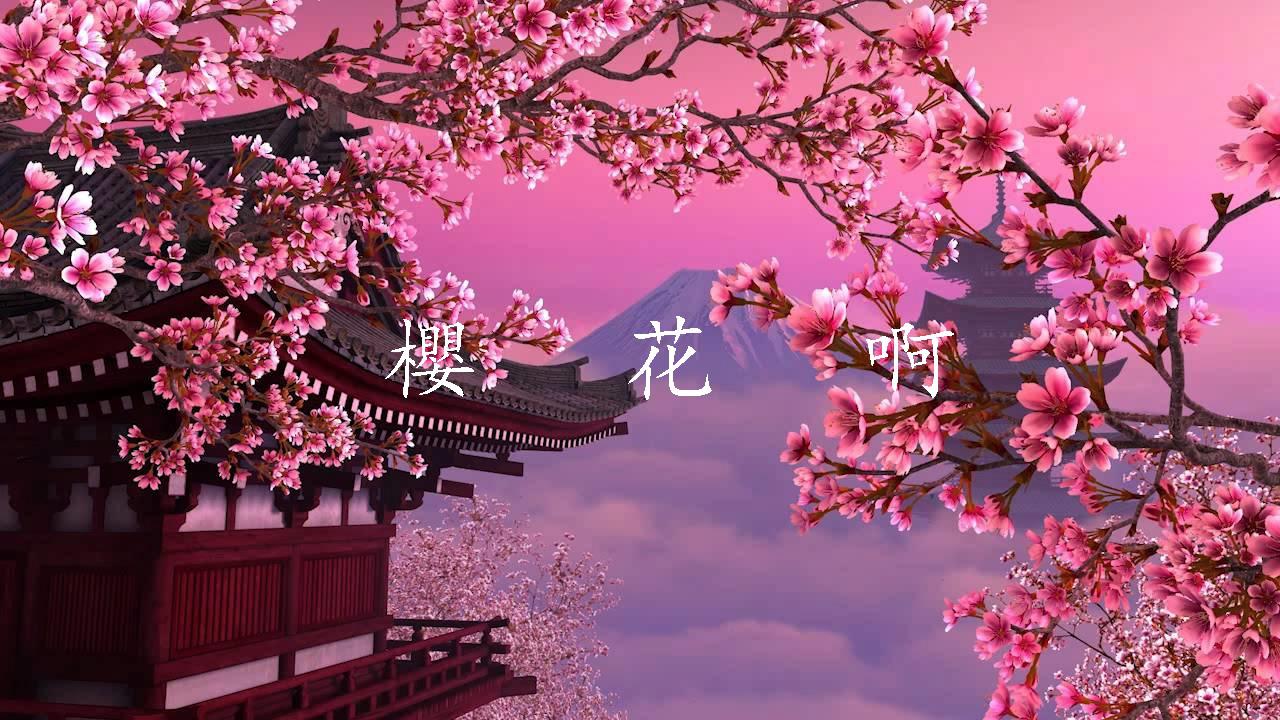 櫻花啊专辑