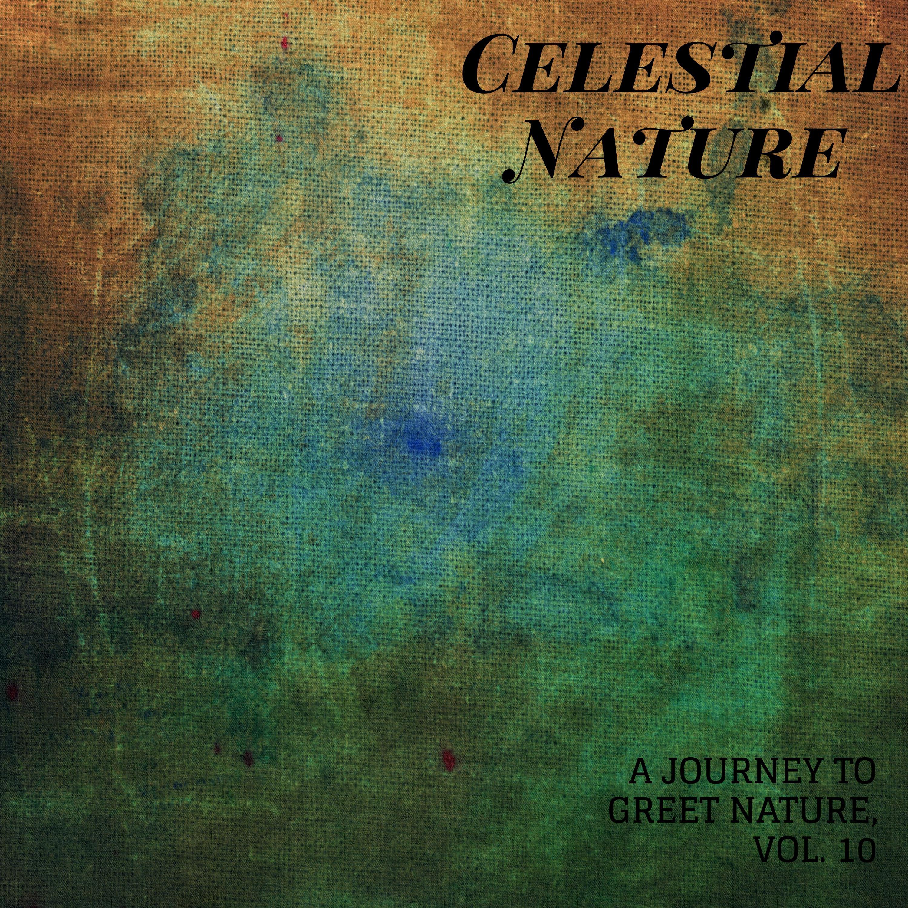 9D Nature Music Project - Joyful Oceanic Night
