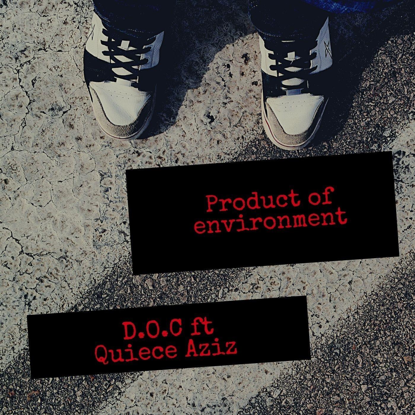 Product of Environment (feat. Quiece Aziz)