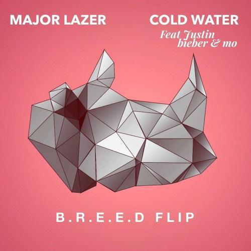 Cold Water (B.R.E.E.D Flip)专辑