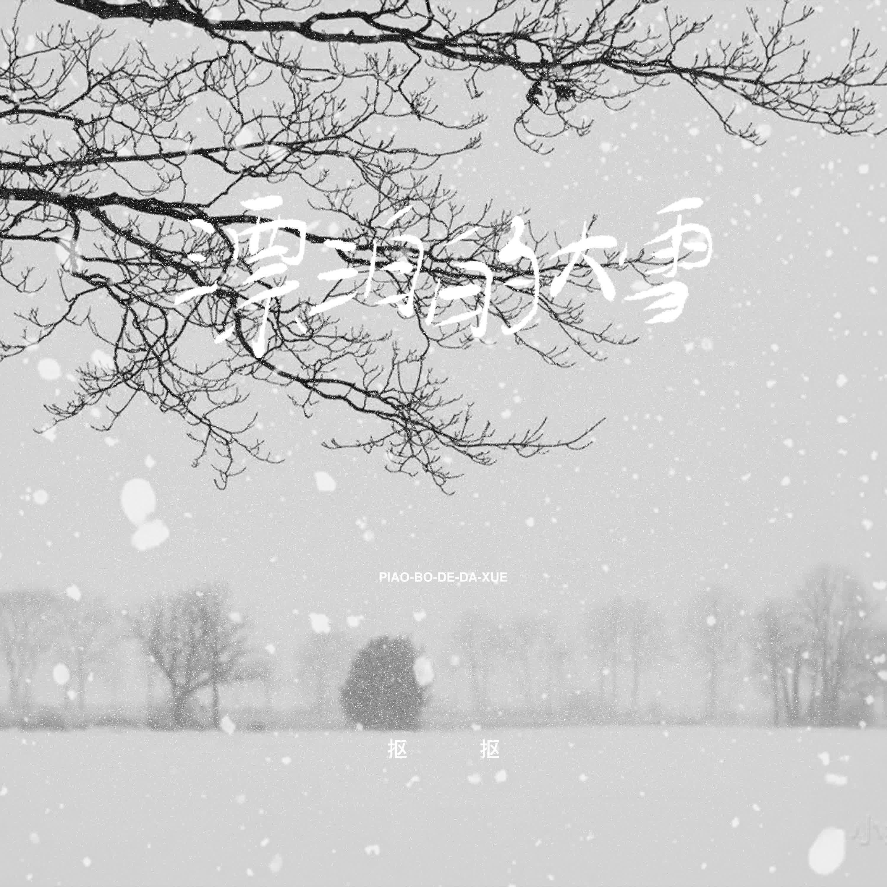 漂泊的大雪