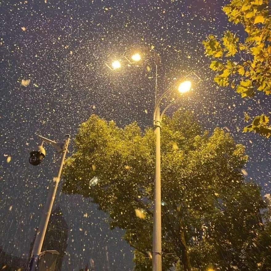 爱是雪地里写诗 边写边消失
