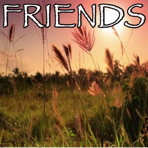 FRIENDS - Marshmello & Anne-Marie (钢琴伴奏) （升5半音）