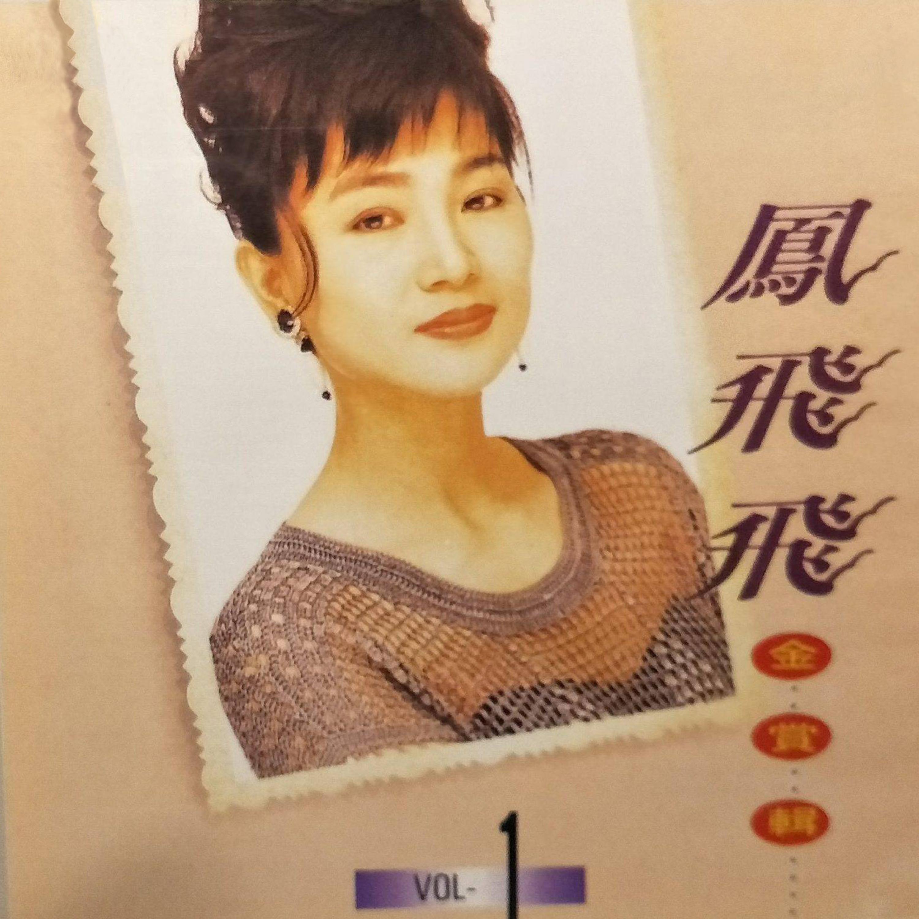凤飞飞歌曲封面