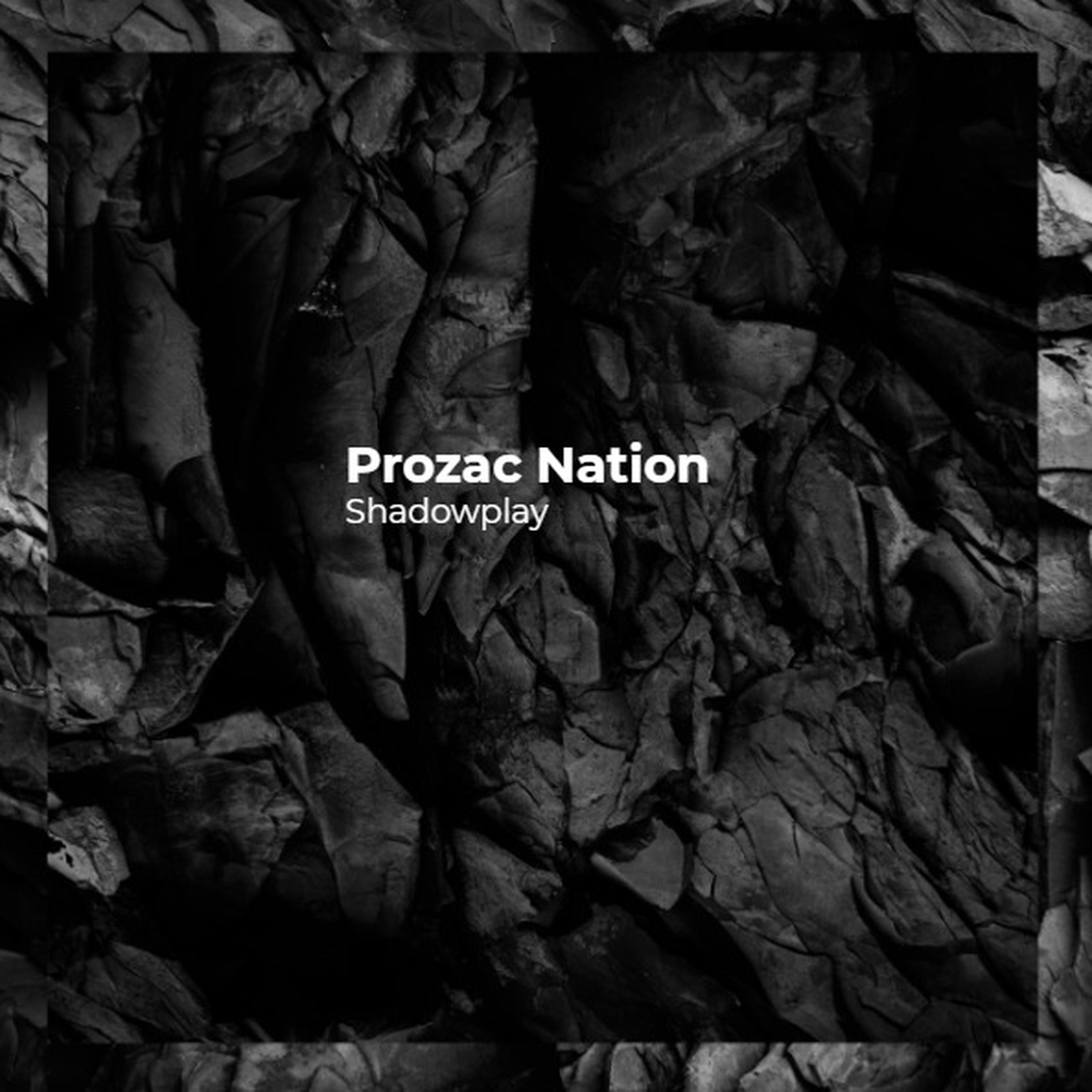 Prozac Nation