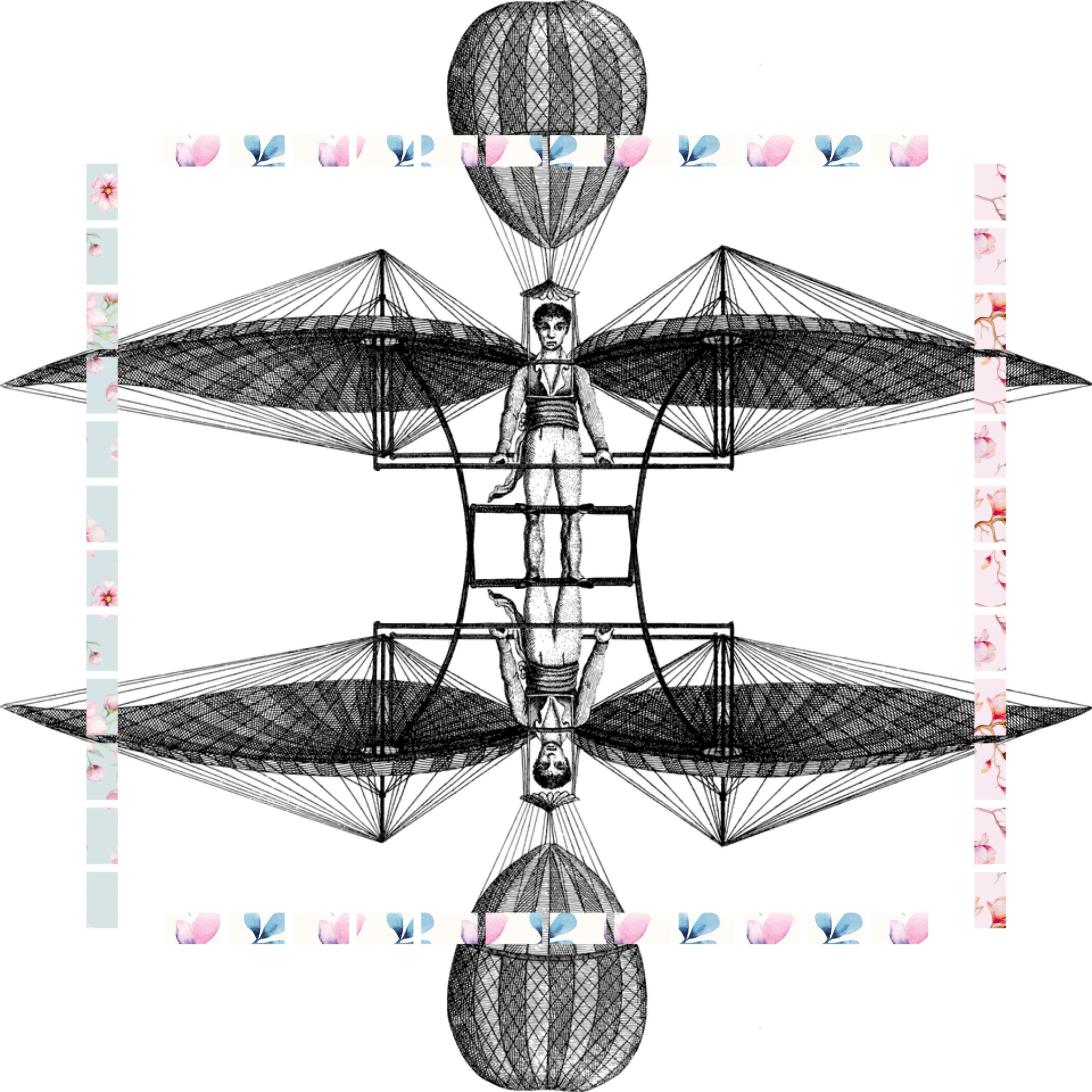 Fantastical Mushrooms