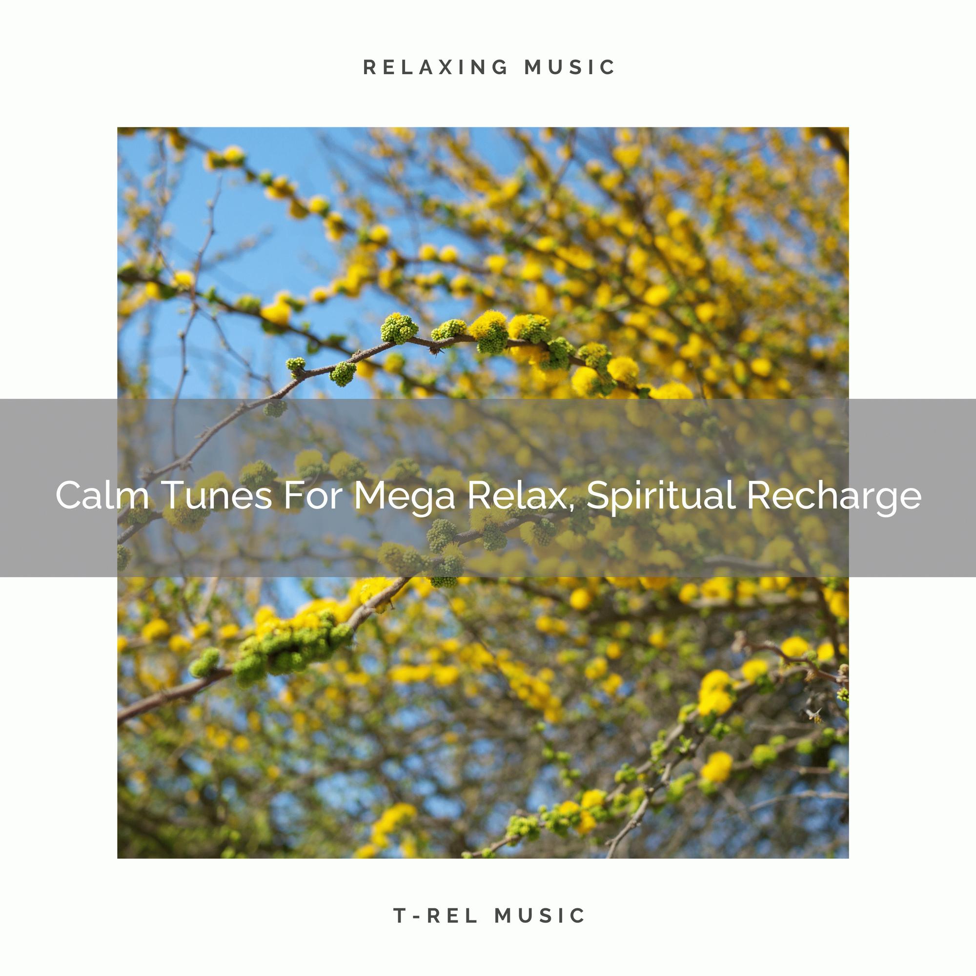 Calm Tunes For Mega Relax, Spiritual Recharge