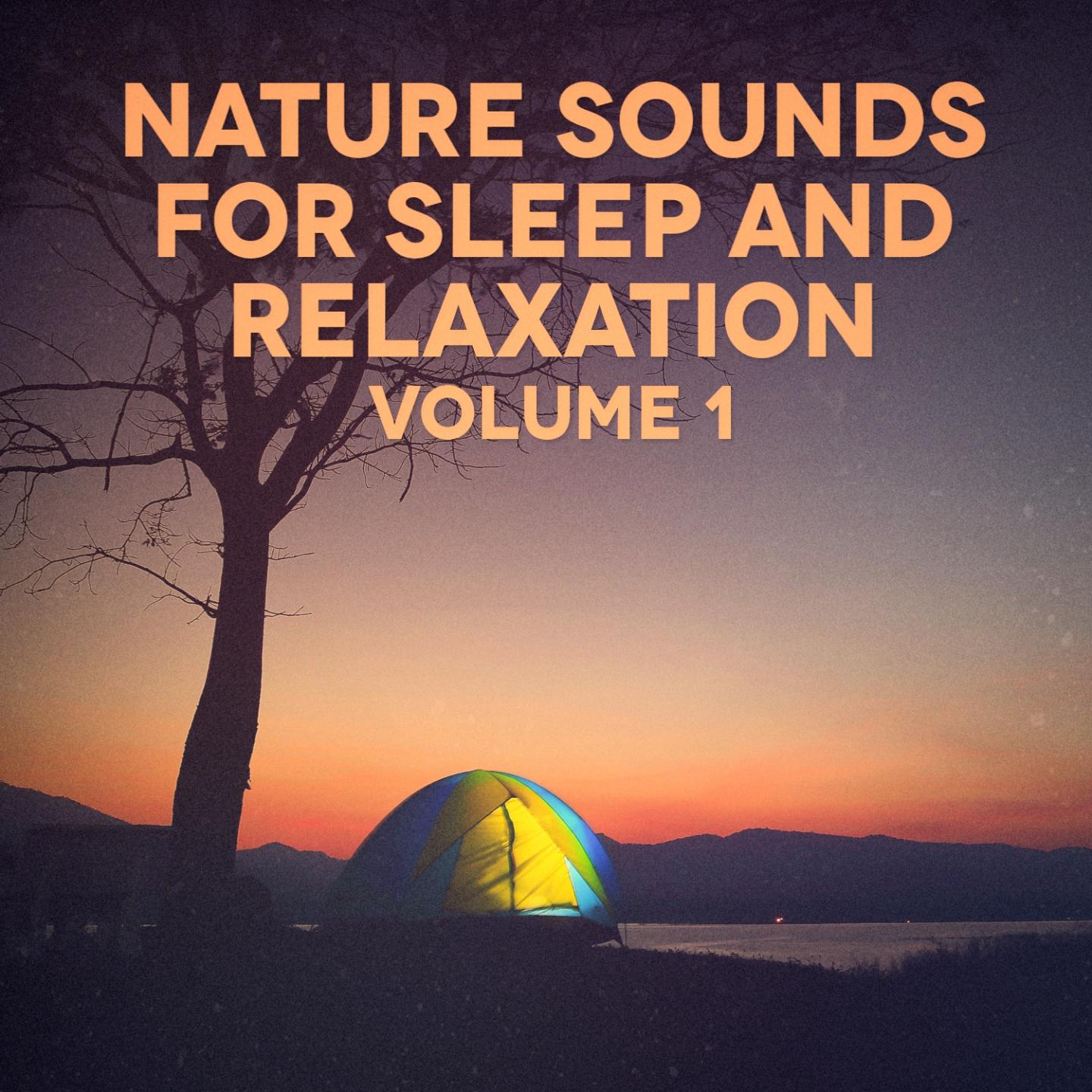 Nature Sounds for Sleep and Relaxation专辑