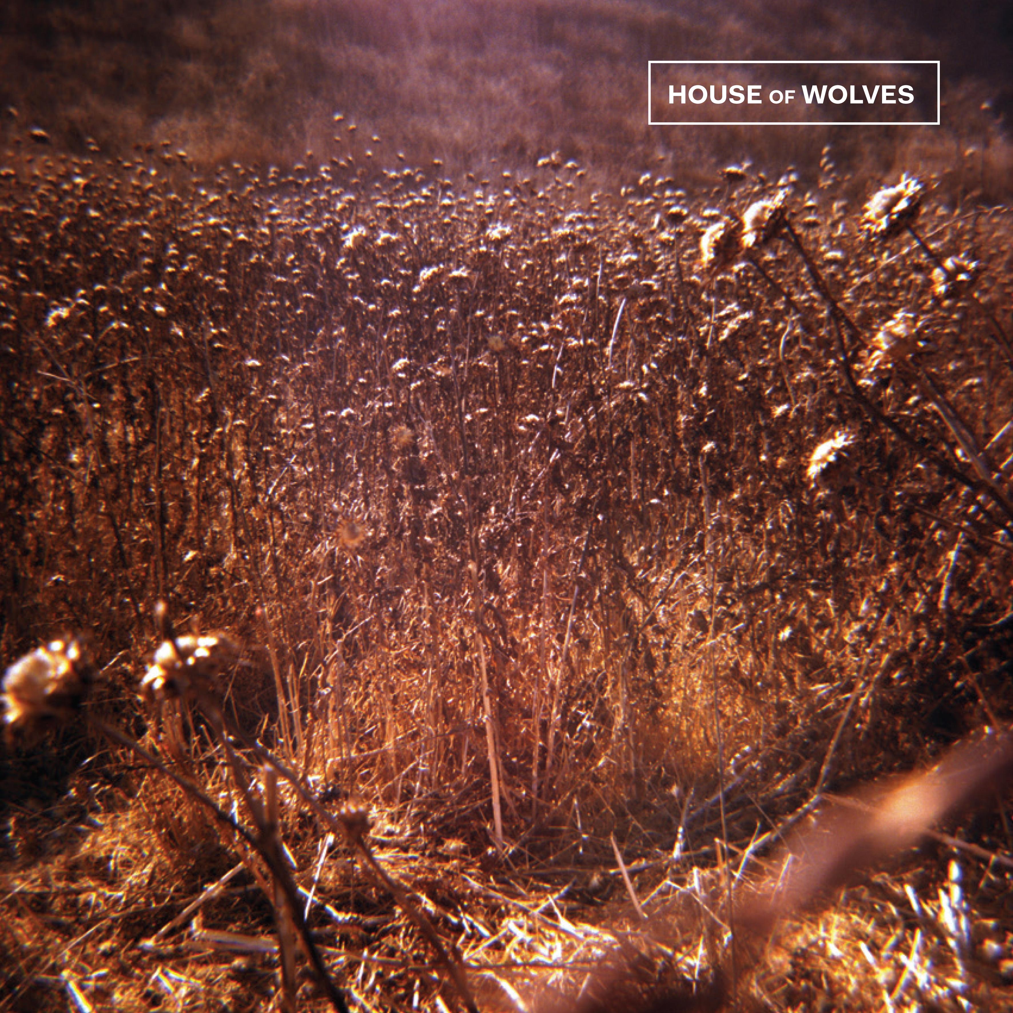 House of Wolves