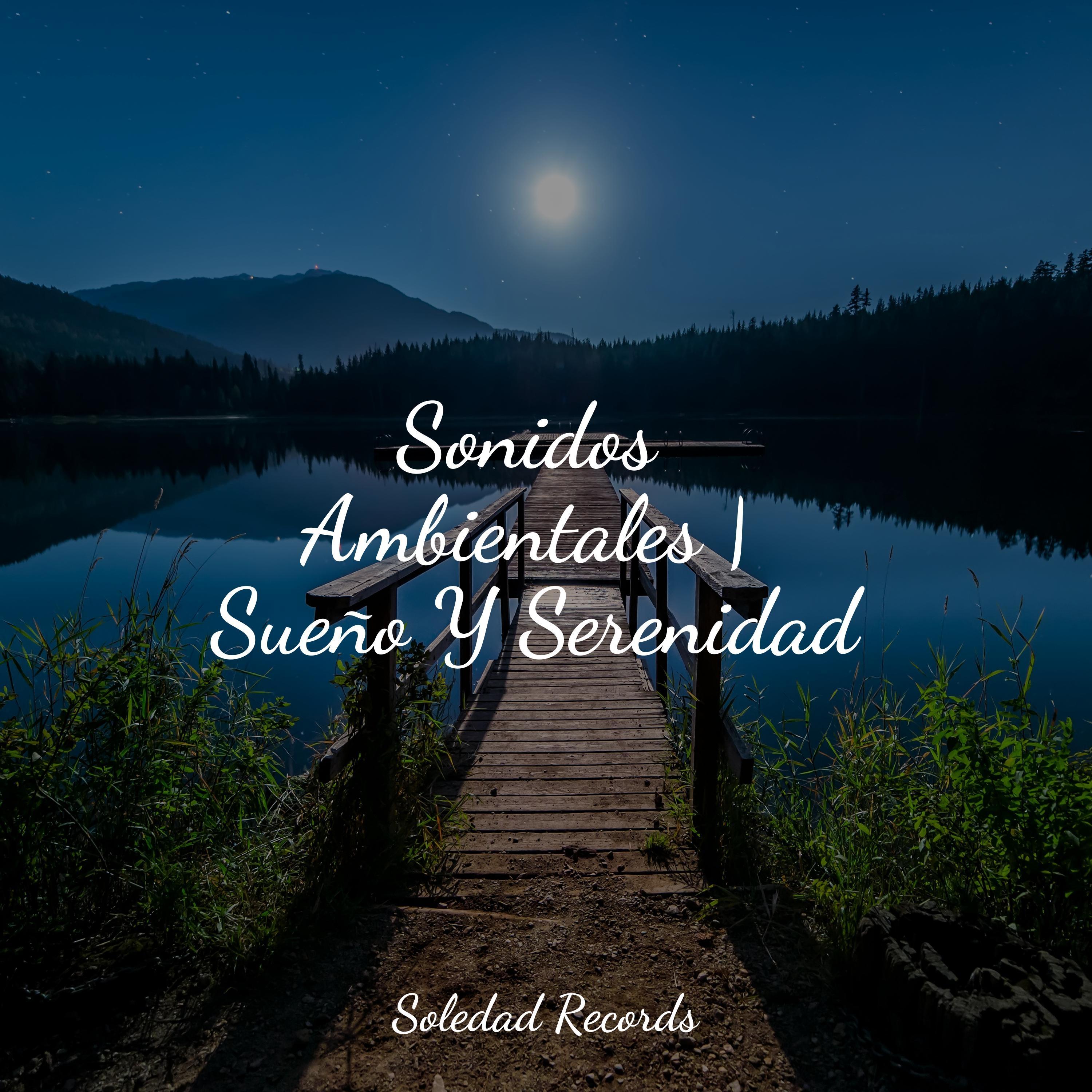 Sonidos Ambientales | Sueño Y Serenidad