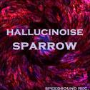 Hallucinoise专辑