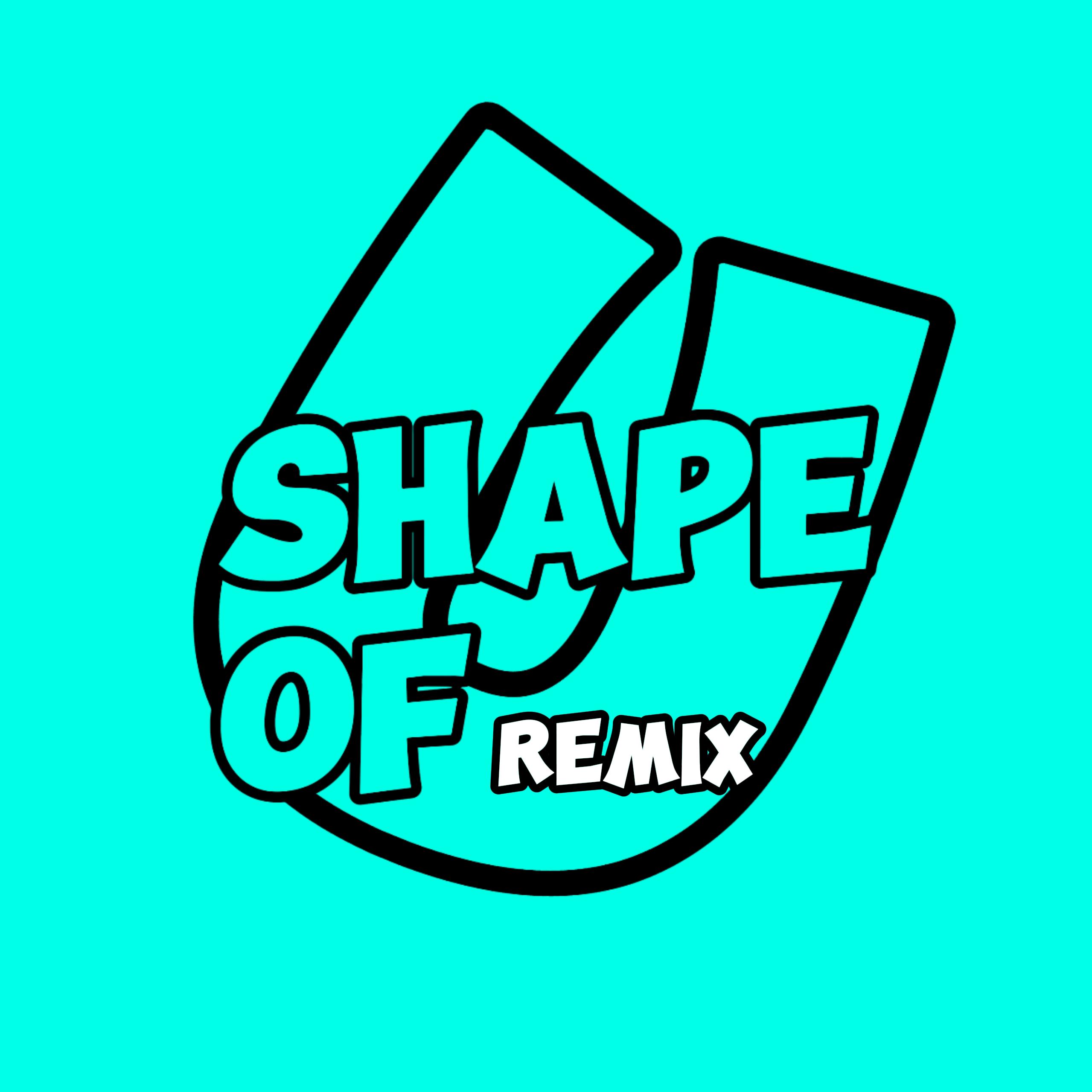 Ed Sheeran-SHAPE OF MIX（DJ ALONE remix）