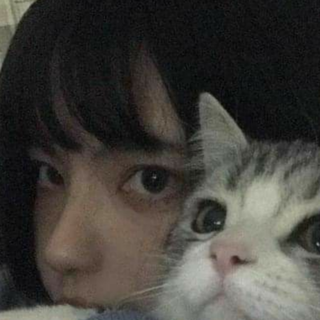 伤感歌单｜镌刻心头的忧郁旋律