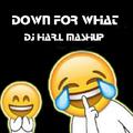 Lil Jon - Turn Down For What