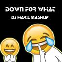 Lil Jon - Turn Down For What专辑