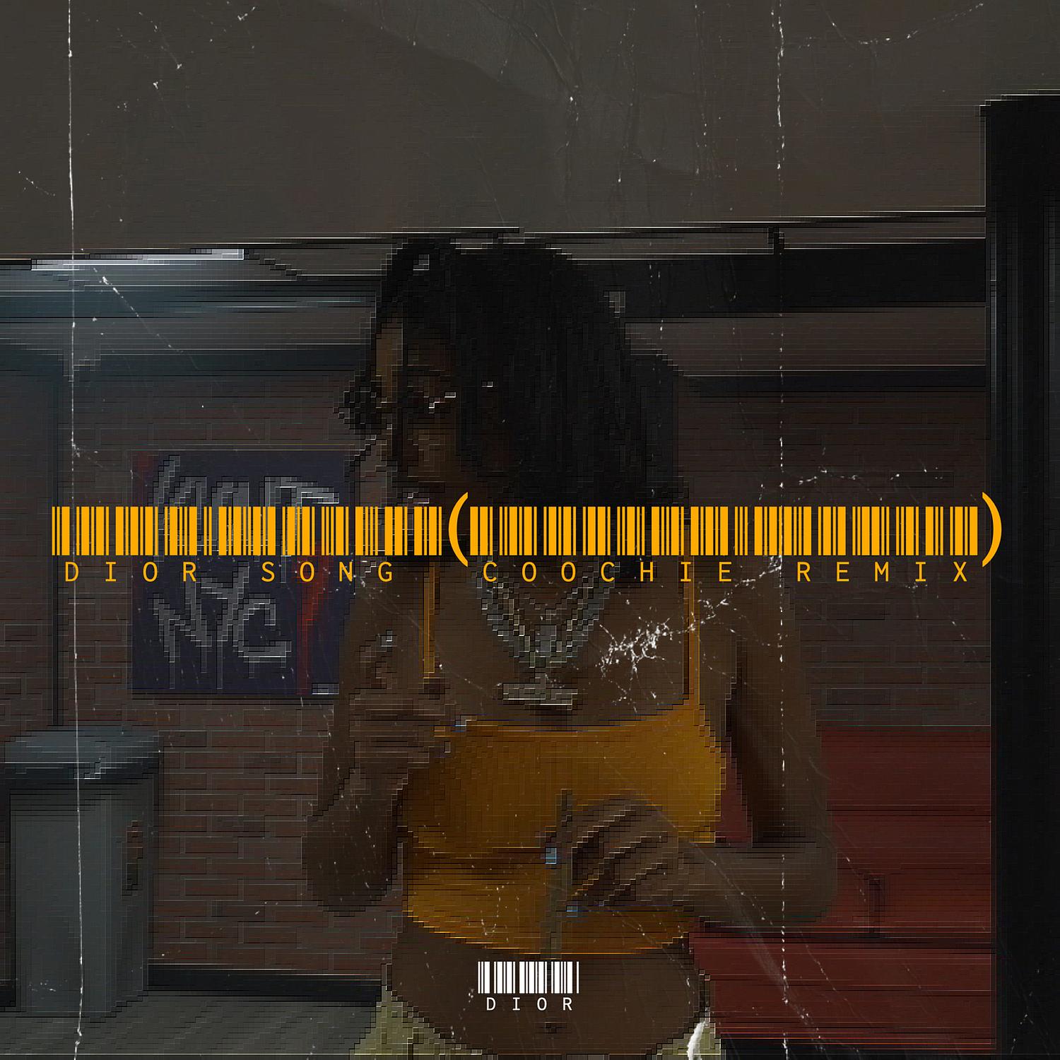 Dior Song (Coochie Remix)