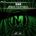 Break Your Neck专辑