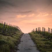 Paths