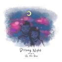 dreamy night专辑