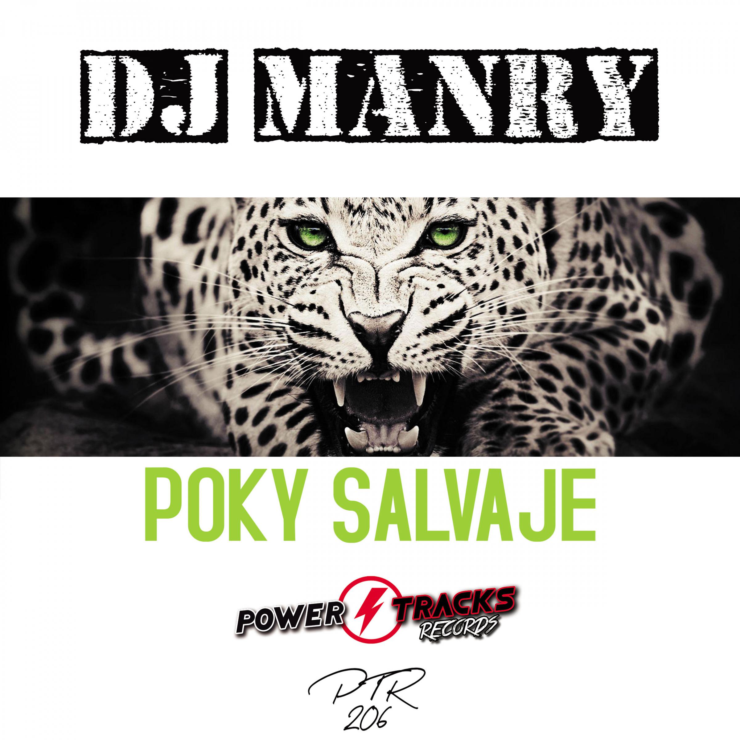 DJ Manry - Poky Salvaje