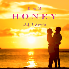 王心凌-Honey（陈卓逸Remix）（伴奏）