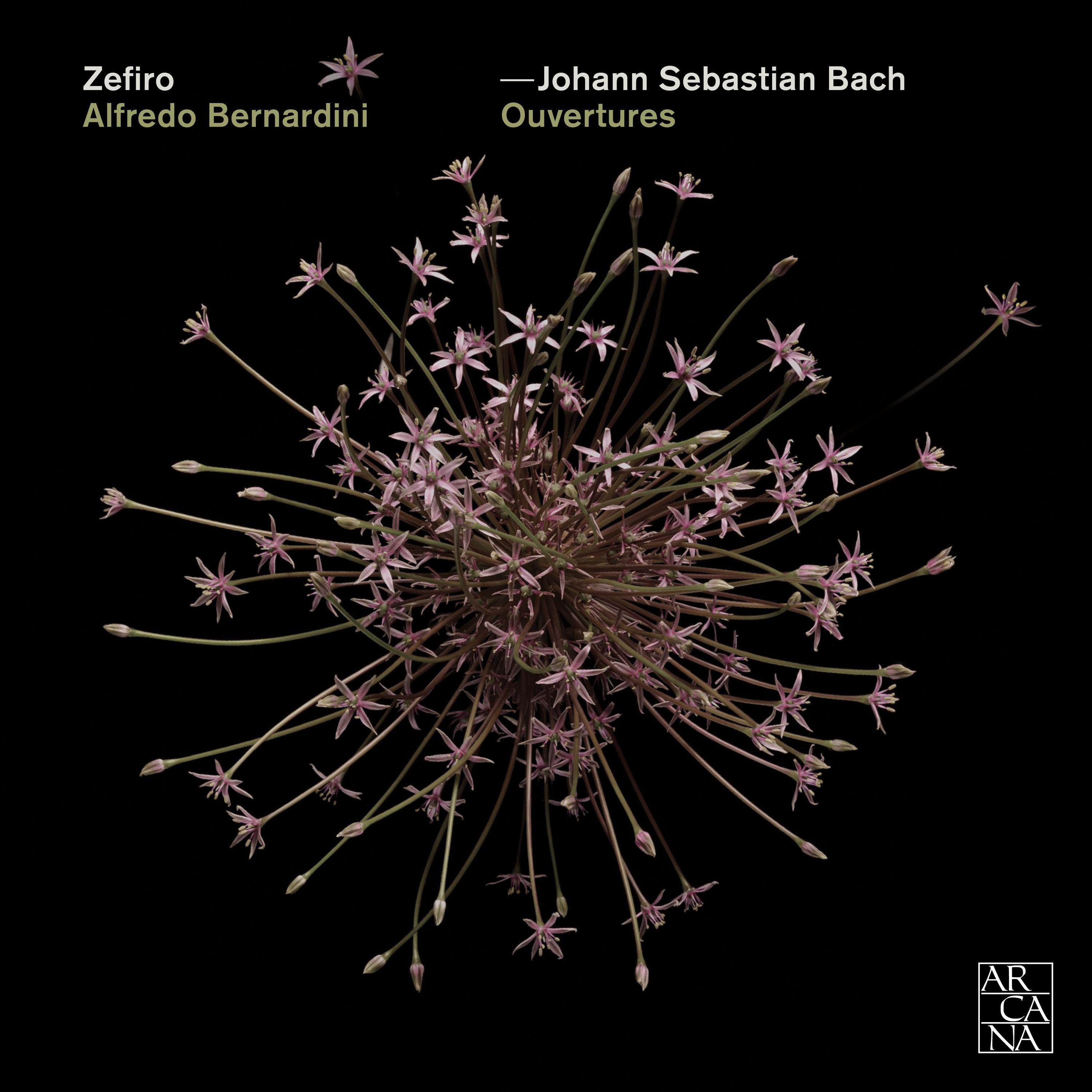 Bach: Ouvertures