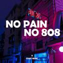 NO PAIN NO 808 MUMBLE TRAP BEAT专辑