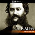 Strauss: The Gypsy Baron专辑