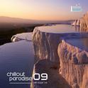 Chillout Paradise Volume 009专辑