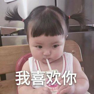 中文蹦迪摇头抖腿DJ