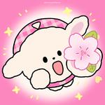 小甜歌pink | 浪漫值拉满 甜蜜拉扯上头曲