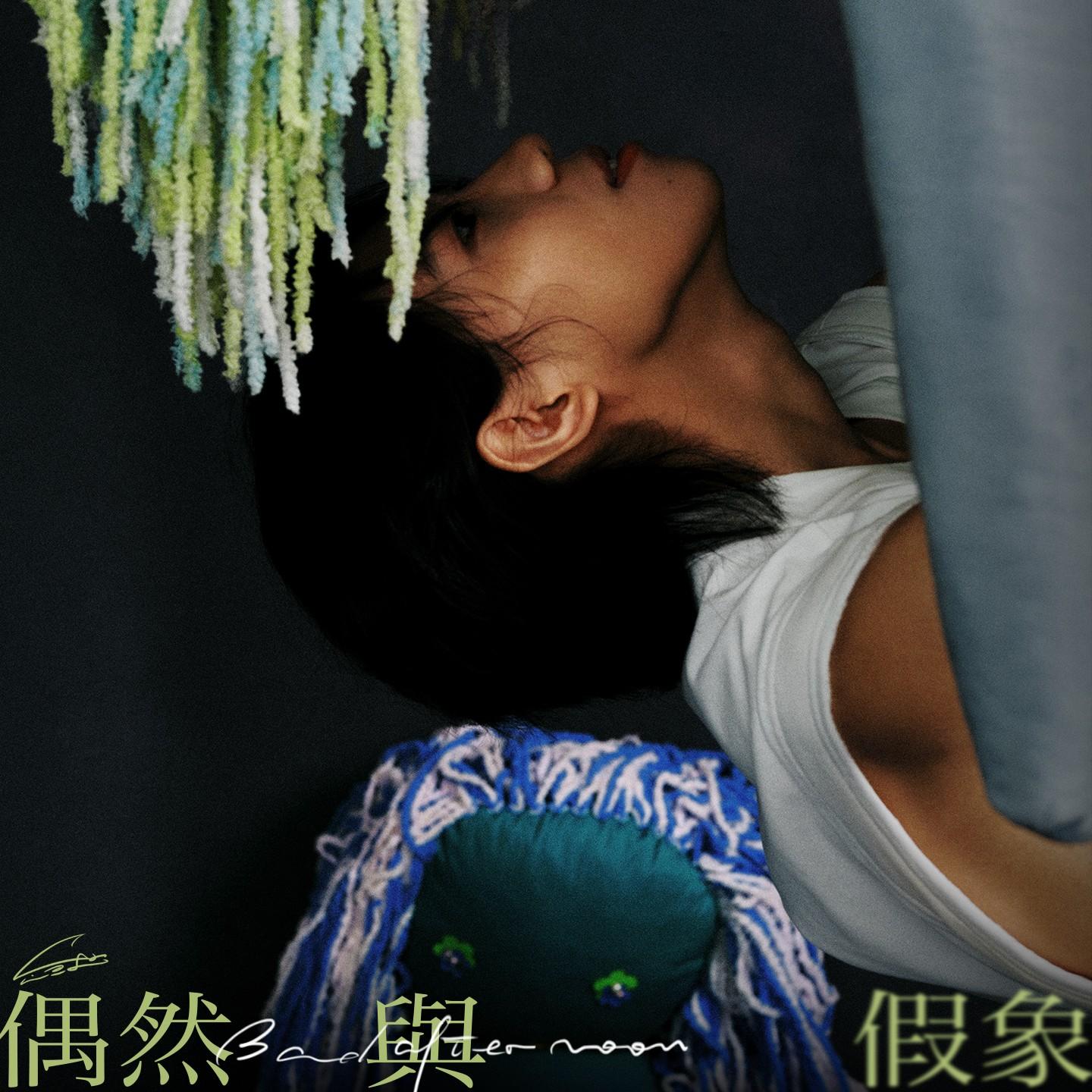 偶然与假象专辑