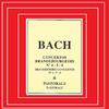 Brandenburg Concerto No. 6 in B-Flat Major, BWV 1051: II. Adagio, ma non tanto