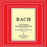 Brandenburg Concerto No. 6 in B-Flat Major, BWV 1051: III. Allegro