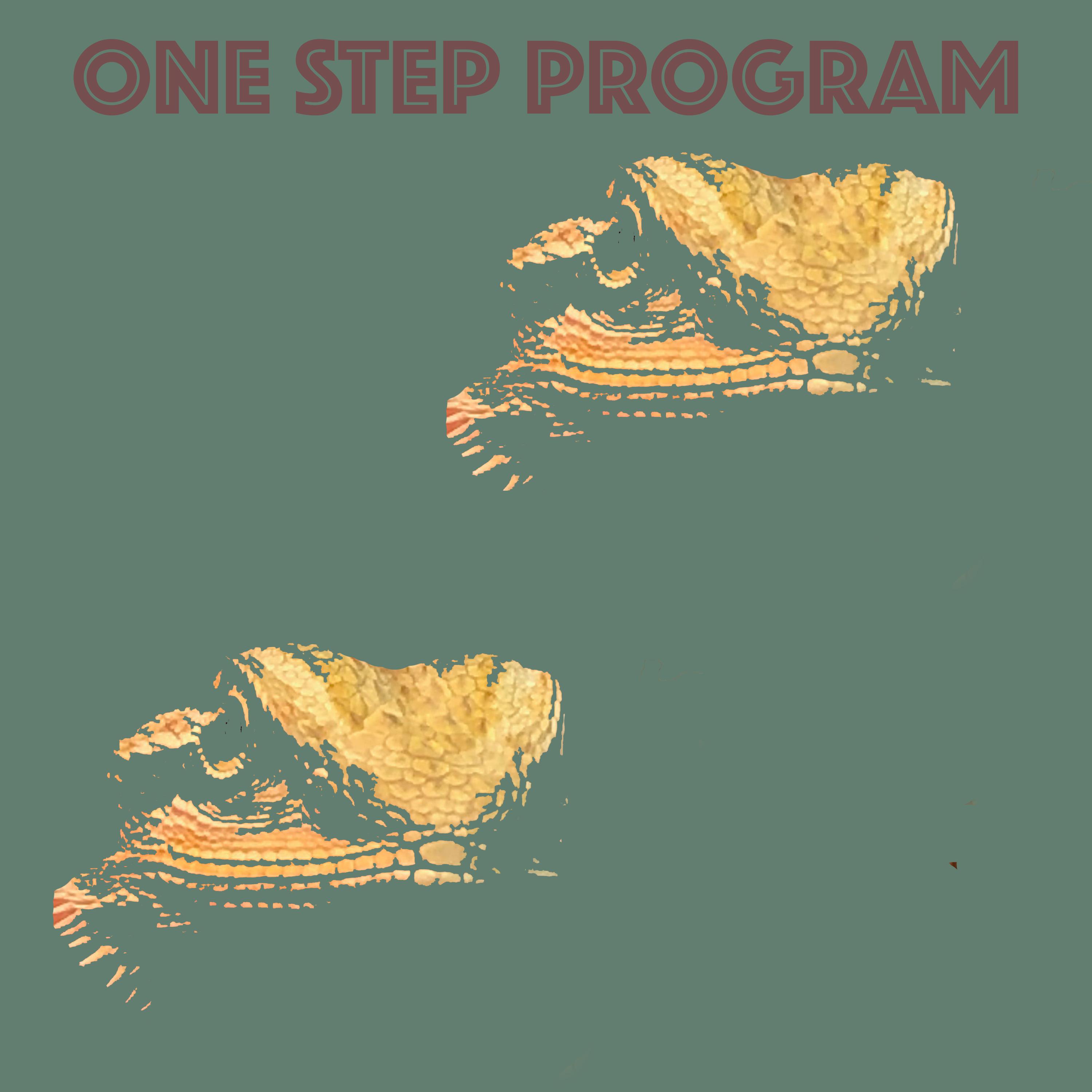 One Step Program - A Weekend At Your Place