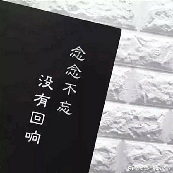 念念不忘 必有回响