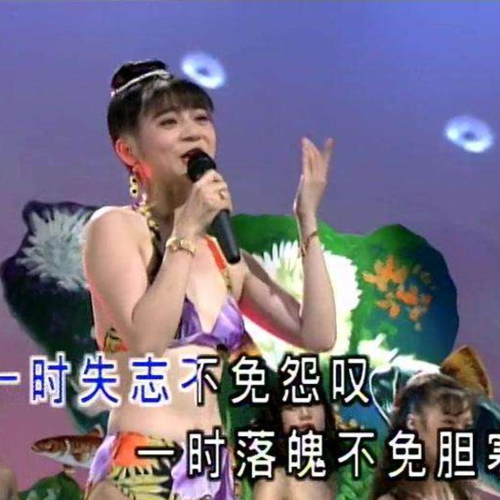泳装十二大美女（金碟豹）