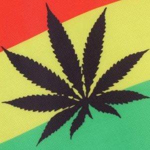 ‖{ Reggae }‖飞行的快乐*✲ﾟ*